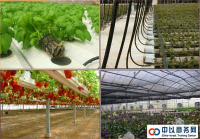 以色列DAGAN(達岡)農業公司