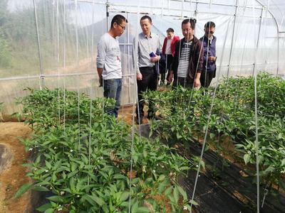 湖北省科學技術協會