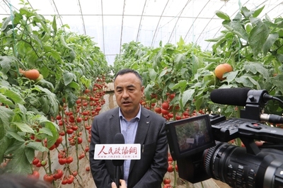 深耕研發(fā) 孕育希望——壽光市政協(xié)委員劉樹森的“種業(yè)夢”與農業(yè)科技服務