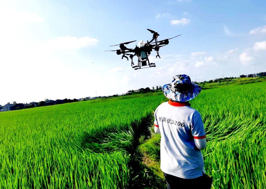 農業(yè)科技服務推廣的持續(xù)性與完整性探討