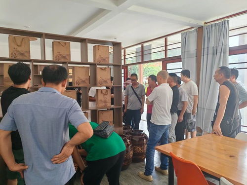 德宏州茶技站開展茶葉科技培訓，助力農業(yè)科技服務