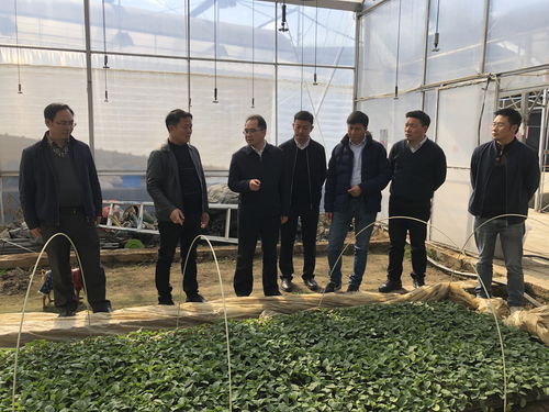 四川省農業(yè)科學院牟錦毅院長赴西昌市與米易縣調研 深化科技幫扶助力鄉(xiāng)村振興